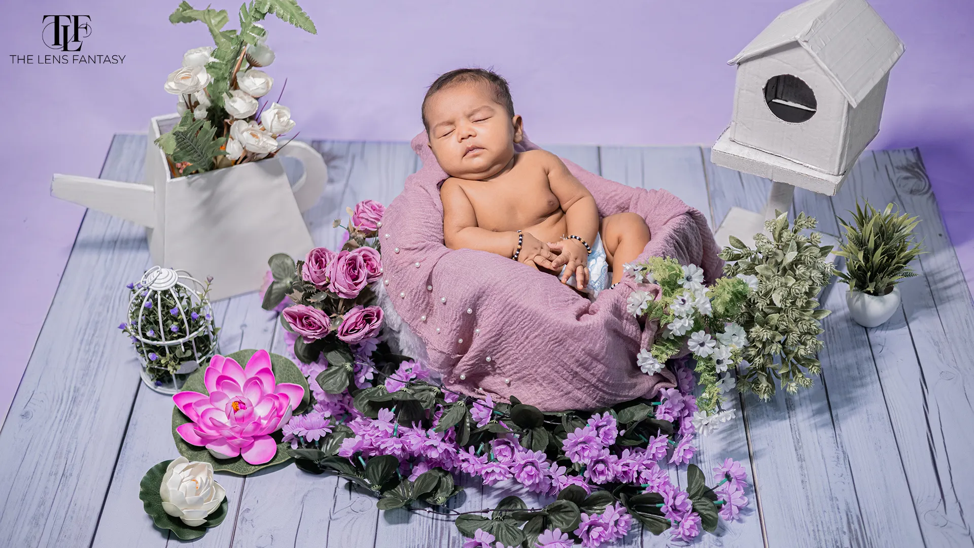 Lavender Garden theme newborn photography setup by The Lens Fantasy Photography in Ranchi