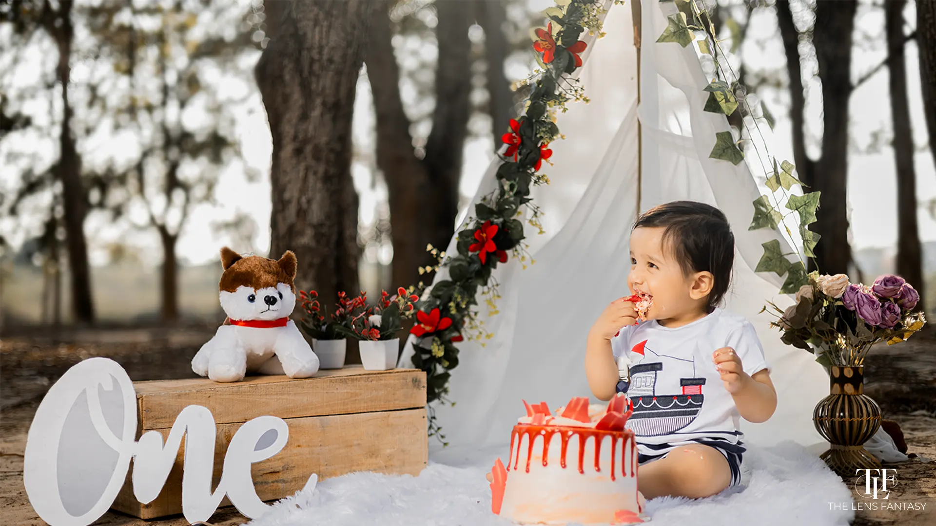 Adorable baby boy pre birthday shoot with Cake by The Lens Fantasy Photography