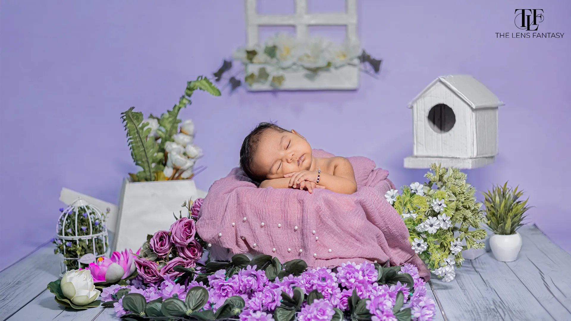 Lavender Garden theme newborn photography setup by The Lens Fantasy Photography in Ranchi