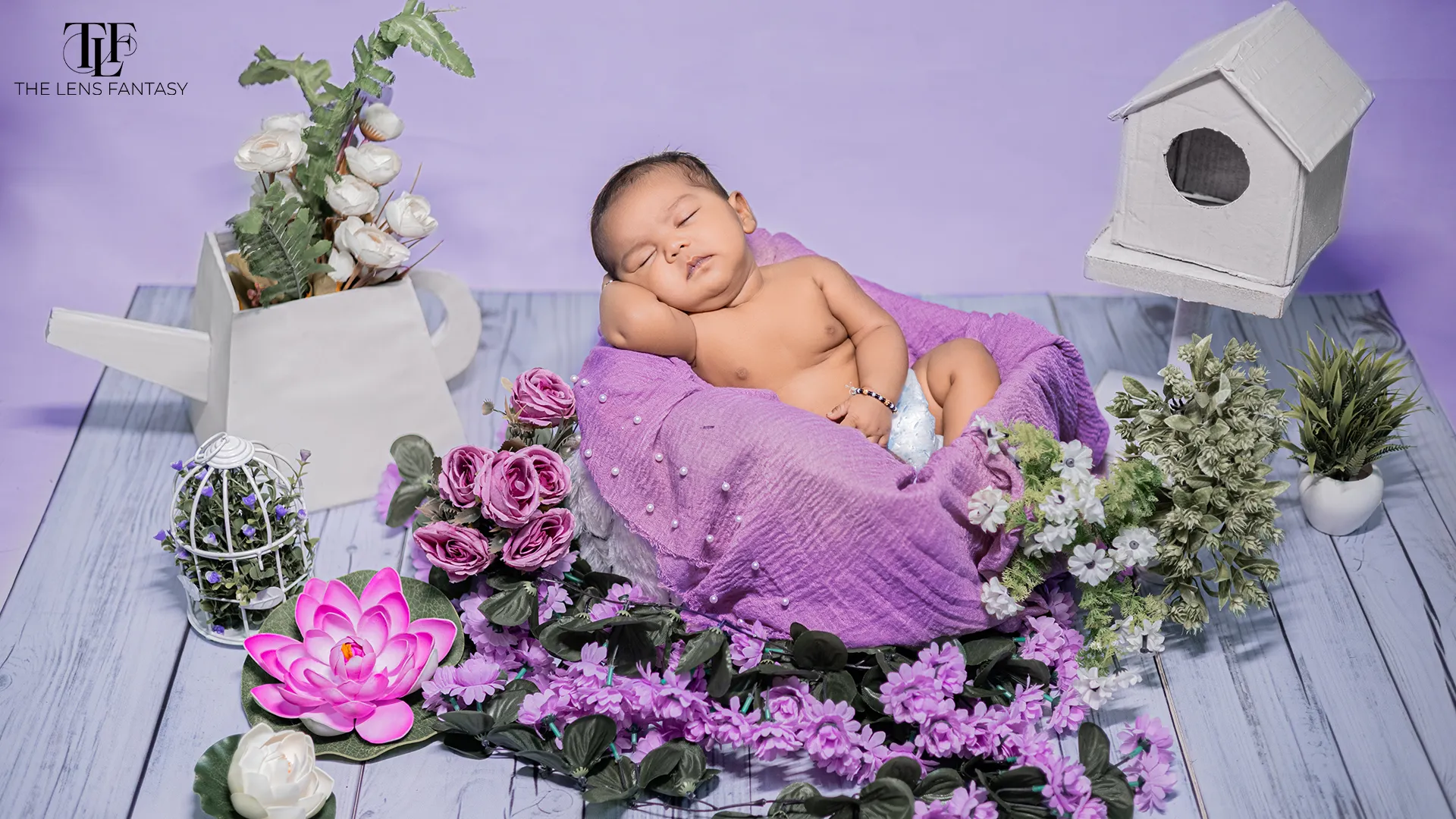 Lavender Garden theme newborn photography setup by The Lens Fantasy Photography in Ranchi