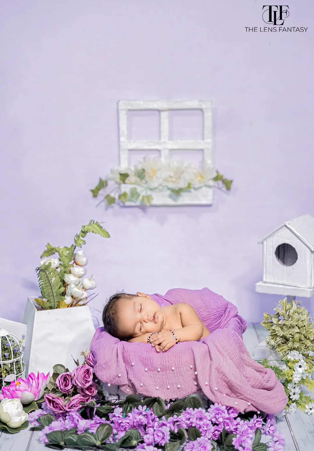 Lavender Garden theme newborn photography setup by The Lens Fantasy Photography in Ranchi